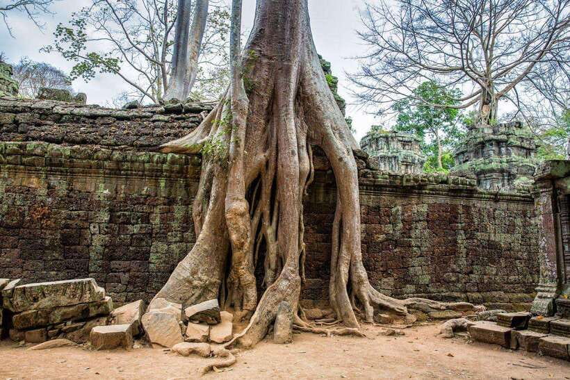 Siem Reap: Angkor Wat Sunrise Tour With Small Group - Should you book this Angkor sunrise tour?