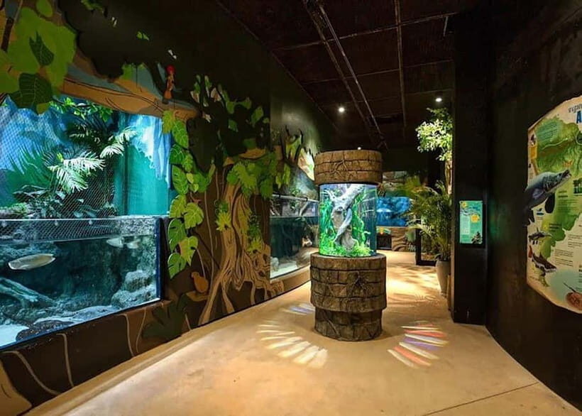 Siem Reap: Angkor Wildlife & Aquarium Entrance Ticket - Key points to know before you go