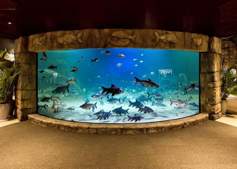 Siem Reap: Angkor Wildlife & Aquarium Entrance Ticket - Two zones, one ticket: wildlife sanctuary plus aquarium