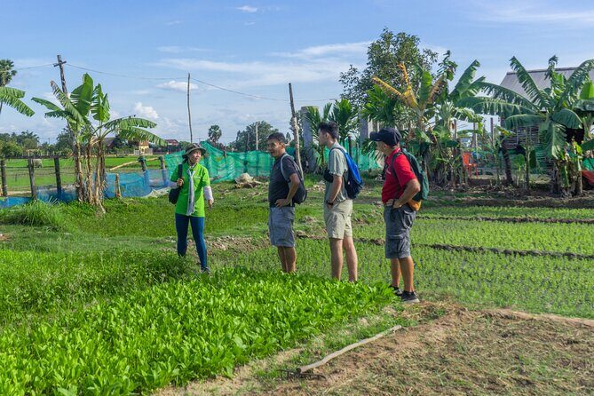 Siem Reap Countryside Sunset Vespa Tour / Tuk Tuk Available - Wat Po Banteaychey: Temples, Ponds, and Farm Production on One Route