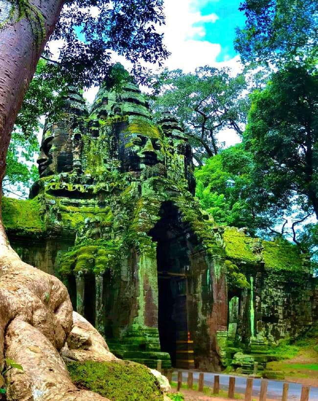 Siem Reap: Full Day Angkor Wat Temple Tour with Sunset - Ta Prohm and the jungle path: when ruins feel alive