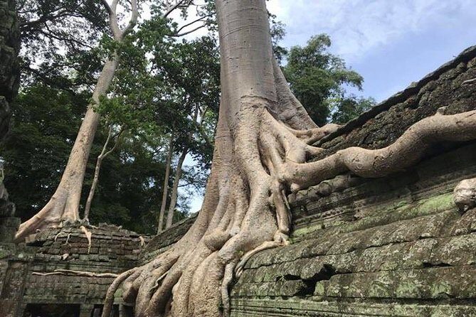 Siem Reap Full Day Angkor Wat Tour Small Group - Price and what you’ll actually pay on the day