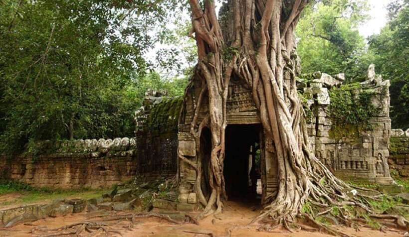 Siem Reap: Grand Circle Temples Tour With Private Tuk-Tuk - Ta Som Temple: One Hour That Helps You Feel the Rhythm