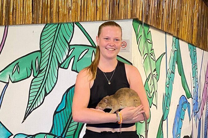 Siem Reap Guided Tour & Hero RATs at APOPO Visitor Center - Key highlights you’ll feel in Siem Reap