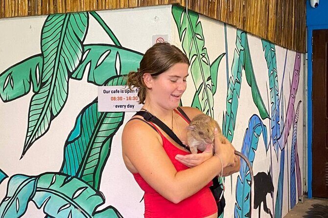 Siem Reap Guided Tour & Hero RATs at APOPO Visitor Center - Made in Cambodia Market: shopping with a purpose (and a time buffer)