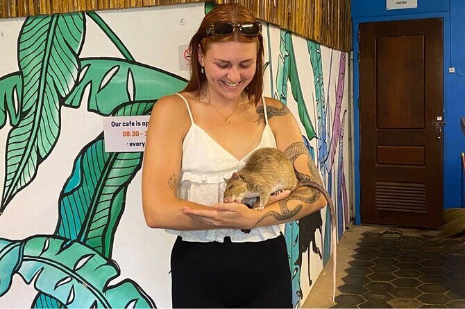 Siem Reap Guided Tour & Hero RATs at APOPO Visitor Center - Who should book this Siem Reap HeroRAT tour