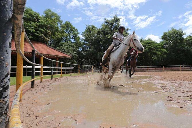 Siem Reap Happy Horse Riding Free Pick-up & Drop-off - Key things to know before you go