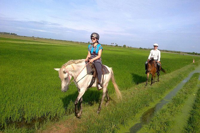 Siem Reap Happy Horse Riding Free Pick-up & Drop-off - What happens once you arrive on the farm