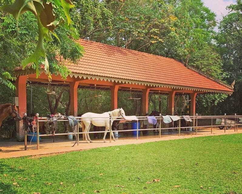 Siem Reap Happy Horse Riding Free Pick-up & Drop-off - Duration: how to choose 1 hour vs 2 vs 3
