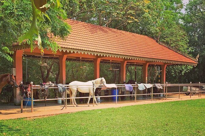 Siem Reap Happy Horse Riding Free Pick-up & Drop-off - The 4 routes: picking the right ride for your comfort