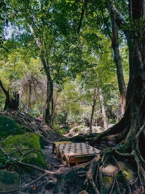 Siem Reap: Kulen Mountain, Beng Mealea, and Kampong Phluk - Beng Mealea: walking the broken “jigsaw puzzle” temple