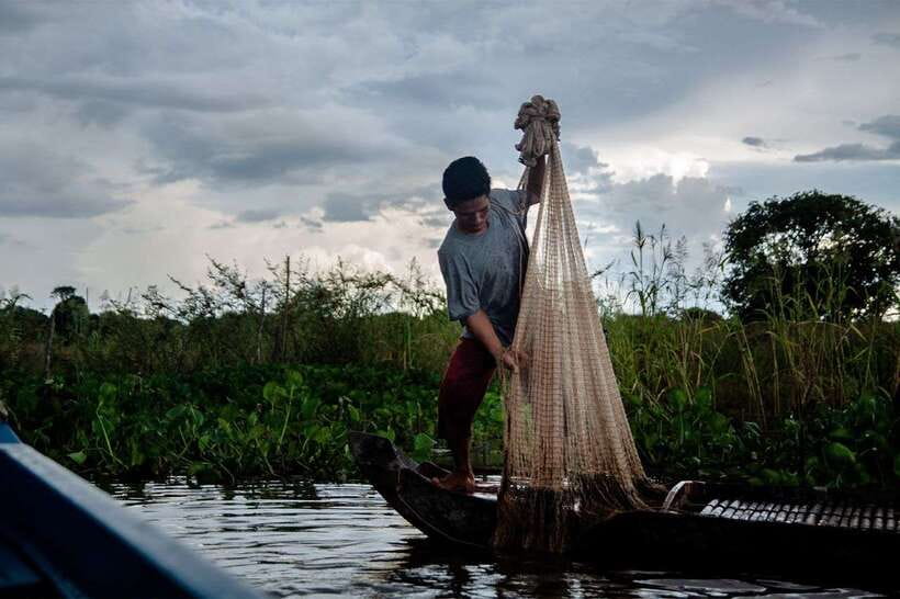 Siem Reap: Prek Toal Tonle Sap Biosphere Reserve Tour - Timing That Works: Dry Season Wins for Birds, But Every Day Has Its Moments