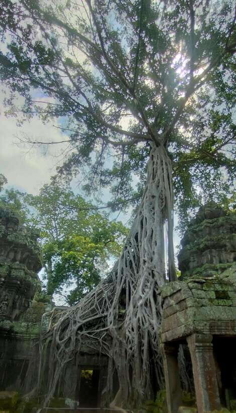 Siem Reap Private Tour: Angkor Wat Sunrise And Banteay Srei - Key things you’ll notice on this tour