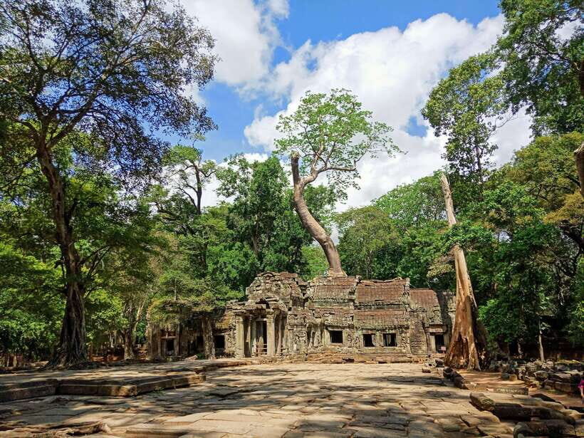 Siem Reap Private Tour: Angkor Wat Sunrise And Banteay Srei - Ta Prohm: tree roots, photo stops, and why timing changes everything
