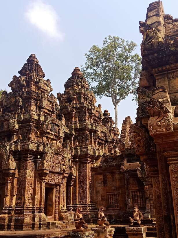 Siem Reap Private Tour: Angkor Wat Sunrise And Banteay Srei - Banteay Srei: pink sandstone carvings that feel like detail work