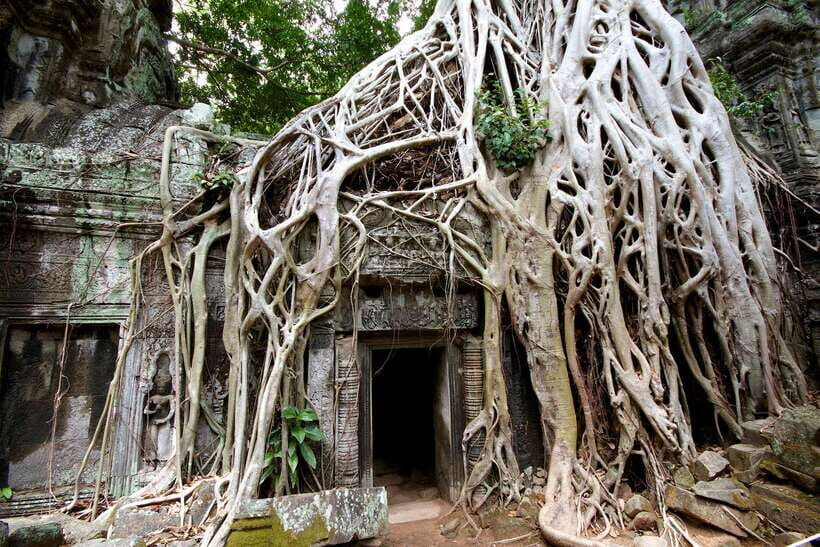Siem Reap: Private Tour of Angkor Complex - Key highlights you’ll feel immediately