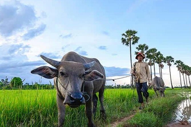 Siem Reap: Silk Farm & Countryside Offbeat Jeep Tour - A fast, offbeat way to get out of Siem Reap