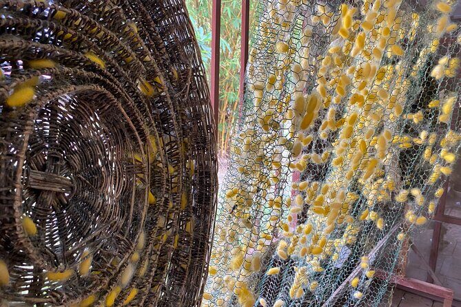 Siem Reap: Silk Farm & Countryside Offbeat Jeep Tour - Rice noodles, bamboo sticky rice, and basket weaving