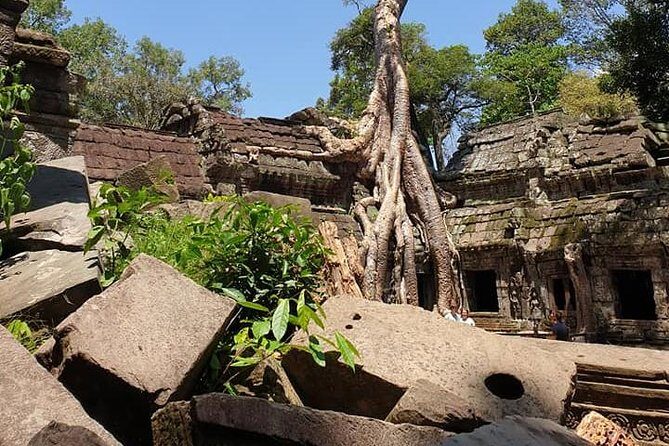 Special Three Days Angkor Tour - Who This Tour Fits Best (and Who Might Want a Different Mix)