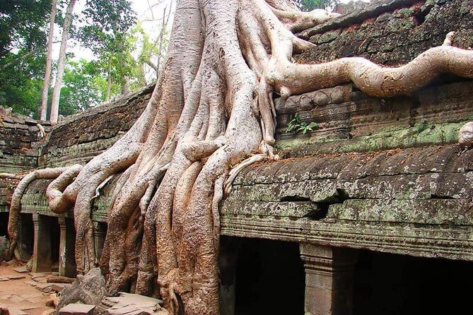 Special Three Days Angkor Tour - Day 2: Banteay Srei’s Carvings Plus Pre Rup, East Mebon, Ta Som, Preah Khan