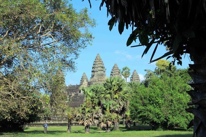 Sunrise Small Group Tour to Angkor Wat Temple - Ta Prohm, the jungle temple: walking among roots