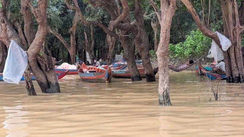 Sunset Kompong Pluk Floating Village - Kampong Phluk Floating Village: stilted houses make sense from the boat