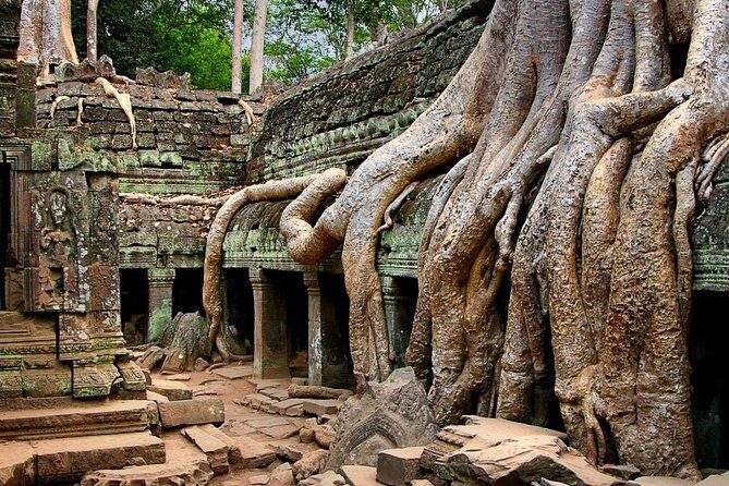 Three-day tour Discovering Siem Reap highlight ,Beng Mealea and Floating Village - Day 3: Beng Mealea’s Lost Temple Energy and Tonle Sap Floating Life