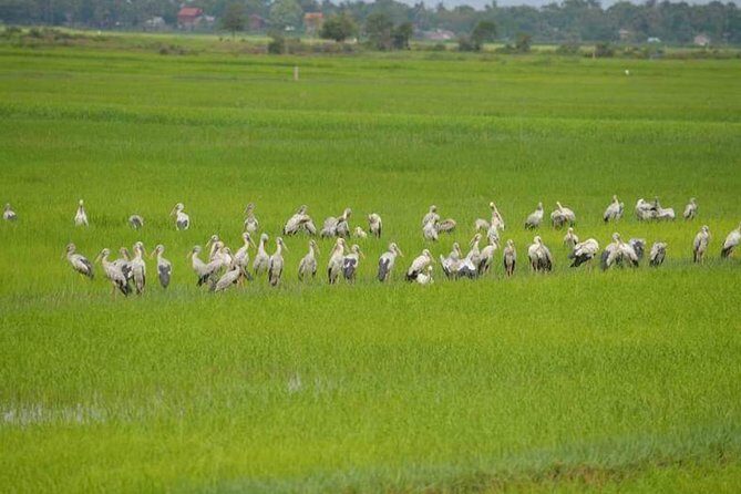 Tuk Tuk Journey: Exploring Rural Life and Silk Farm Craftsmanship - A 4–5 hour rural reset from Siem Reap