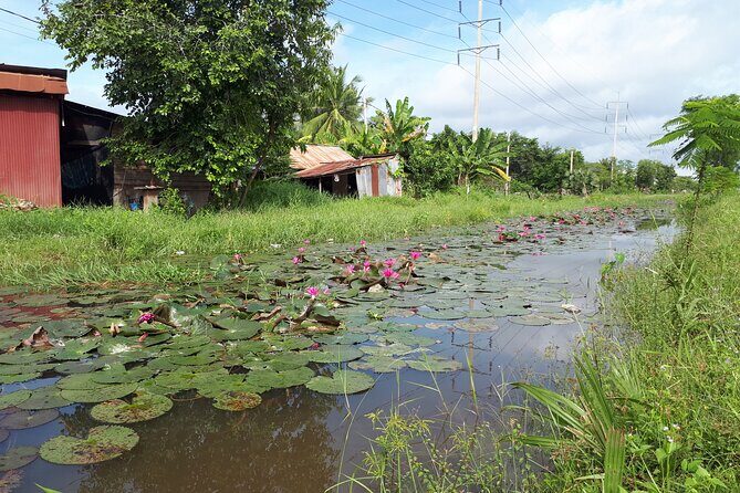 Tuk Tuk Journey: Exploring Rural Life and Silk Farm Craftsmanship - Angkor Silk Farm: from silkworm work to weaving garments