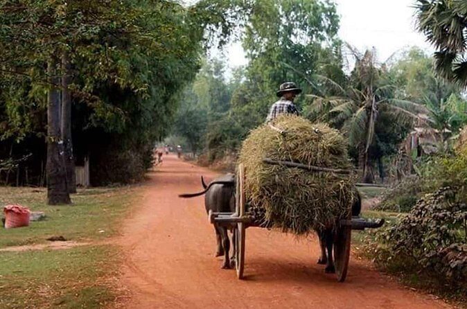 Tuk Tuk Journey: Exploring Rural Life and Silk Farm Craftsmanship - Price and logistics: is $45 actually good value?