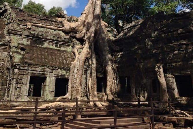 Ultimate Siem Reap Food Tour by Tuk Tuk - 20 Tastings, 8 Stops - Guide energy: clear English, food talk, and flexibility when plans change