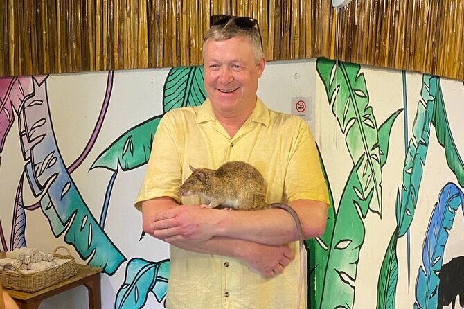 War Museum, Killing Field, and APOPO Hero RATs Tour - Price, Timing, and Value of This $75 Private Tour