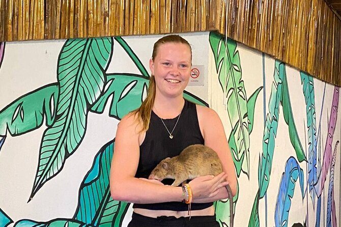 War Museum, Killing Field, and APOPO Hero RATs Tour - Should You Book This War, Memory, and HeroRAT Day?