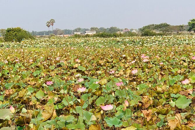 War Museum, Killing Field and Floating village ( Chong Kneas) Tour - Price and value: what $75 covers (and what you’ll pay separately)